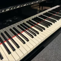 Steinway and Sons Model D