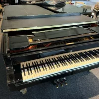 Steinway and Sons Model D