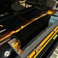 Steinway and Sons Model D