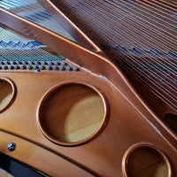 Usado, Bosendorfer, 225