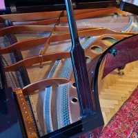 Gebruikte, Bosendorfer, 225