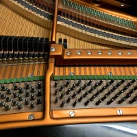 Gebraucht, Bösendorfer, 225