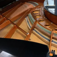 Gebraucht, Bösendorfer, 225