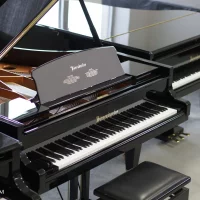 Used, Bosendorfer, 225