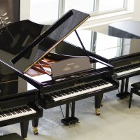 Används, Bösendorfer, 225