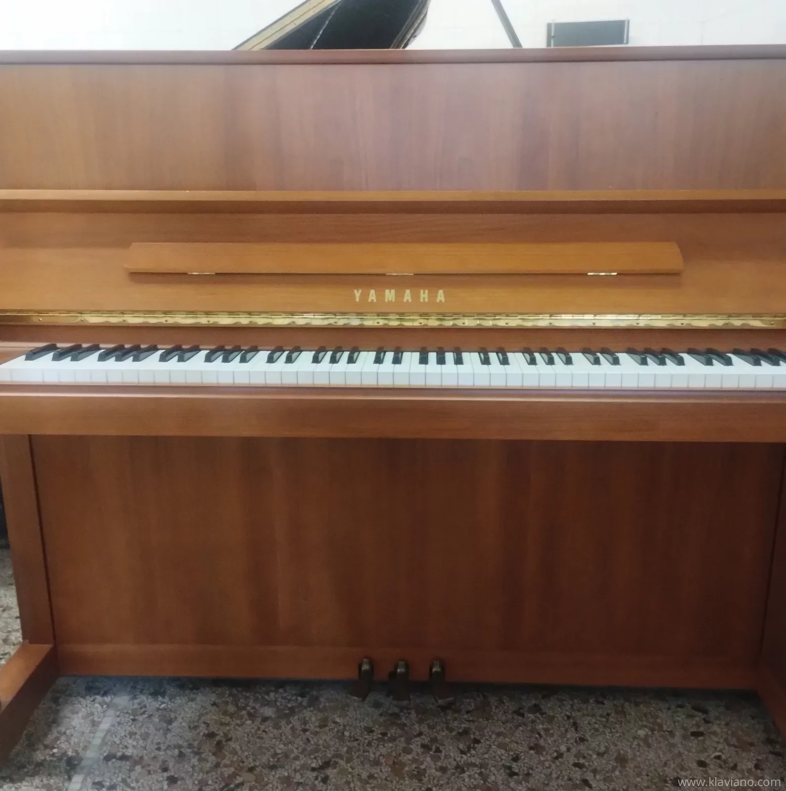 Gebruikte, Yamaha, P121