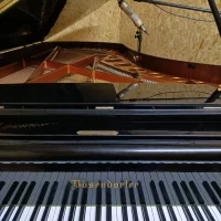 Används, Bösendorfer, 275