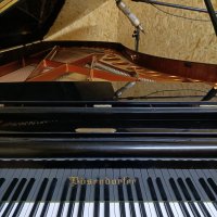 Used, Bosendorfer, 275