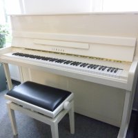 Gebruikte, Yamaha, P116 G