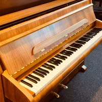 Occasion, Schimmel, 97 SL