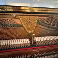 Usado, C. Bechstein, 8 (III) 127