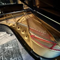 Occasion, Steinway & Sons, B-211