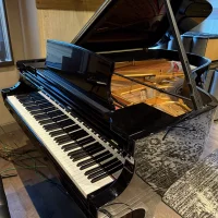 Occasion, Steinway & Sons, B-211