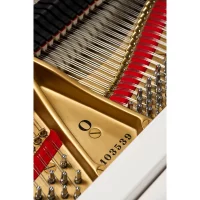 Used, Steinway & Sons, O-180