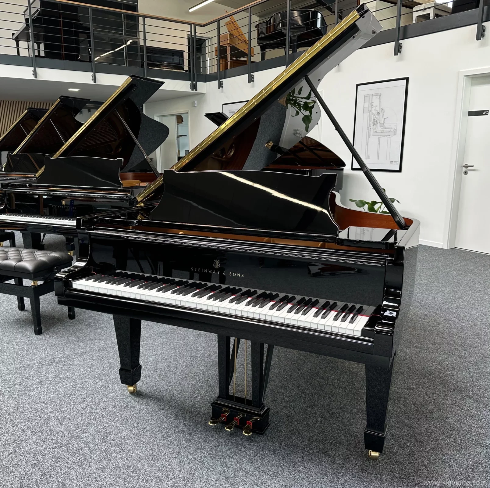 Steinway & Sons Flügel, Modell B-211