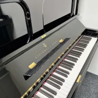 Occasion, Steinway & Sons, K-132 (52)