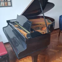 Gebruikte, C. Bechstein, K 155