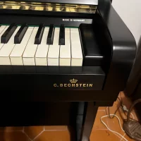 Gebruikte, C. Bechstein, Concert 8