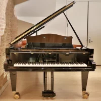 Occasion, C. Bechstein, D 282