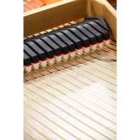 Used, Steinway & Sons, S-155