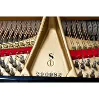 Usato, Steinway & Sons, S-155