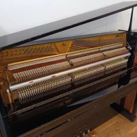 Gebraucht, Schimmel, W 118 Tradition