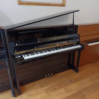 Used, Schimmel, W 118 Tradition