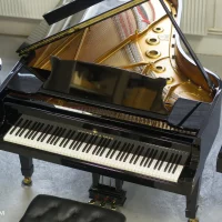 Occasion, Steinway & Sons, B-211