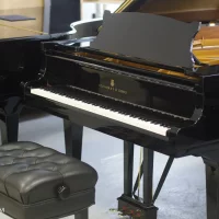 Occasion, Steinway & Sons, B-211