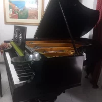 Używany, C. Bechstein, V 200