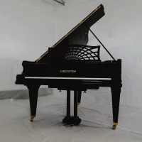 Usato, C. Bechstein, B 203