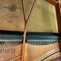 Used, Bosendorfer, 225