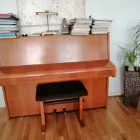 Gebruikte, C. Bechstein, A 114