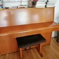 Gebruikte, C. Bechstein, A 114