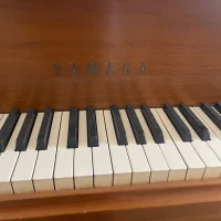 Usado, Yamaha, G2