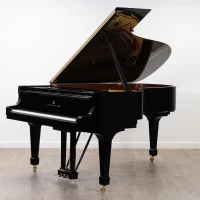 Usato, Steinway & Sons, B-211