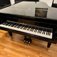 Used, Schimmel, I 182 Tradition