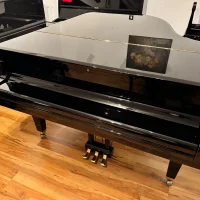 Used, Schimmel, I 182 Tradition