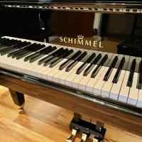 Used, Schimmel, I 182 Tradition