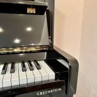 Gebruikte, C. Bechstein, Contur 118