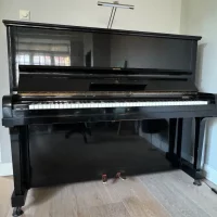 Używany, Steinway & Sons, V-125