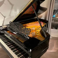 Usado, Steinway & Sons, B-211