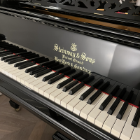 Används, Steinway & Sons, B-211