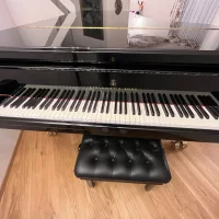 Gebruikte, Steinway & Sons, D-274