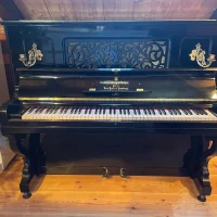 Usato, Steinway & Sons, K-132 (52)