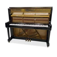 Används, Kawai, BS-2A