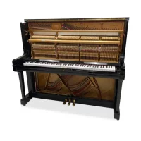 Används, Kawai, BS-40