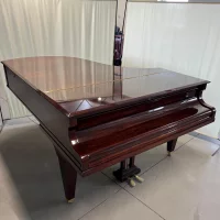 Usado, C. Bechstein, B 203