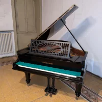 Gebruikte, C. Bechstein, Andere