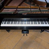 Gebruikte, C. Bechstein, Andere